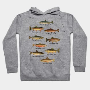 Trout Fishes of Pennsylvania Hoodie